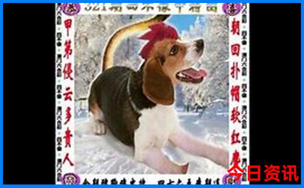 张家口玩的地方有哪些地方